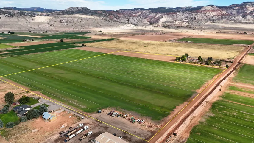 Expansive green fields with delineated boundaries
