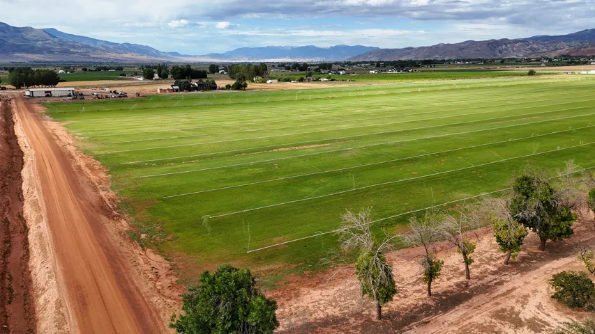 Expansive green fields with irrigation lines, bordered by a dirt road and mature trees, set against a backdrop of distant mountains
