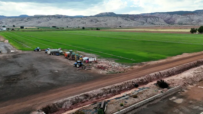 Expansive green fields with irrigation systems