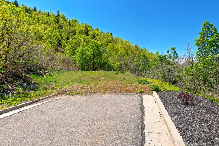 Sloping lot with established trees and natural landscaping