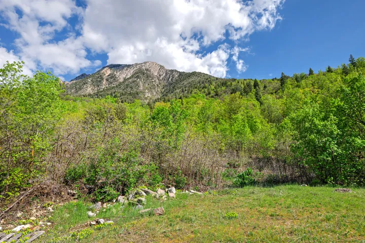 Expansive green space with natural landscaping and mature trees, backed by a mountainous terrain