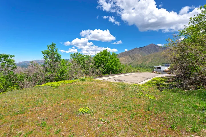 Expansive natural landscape with varied terrain and mature trees