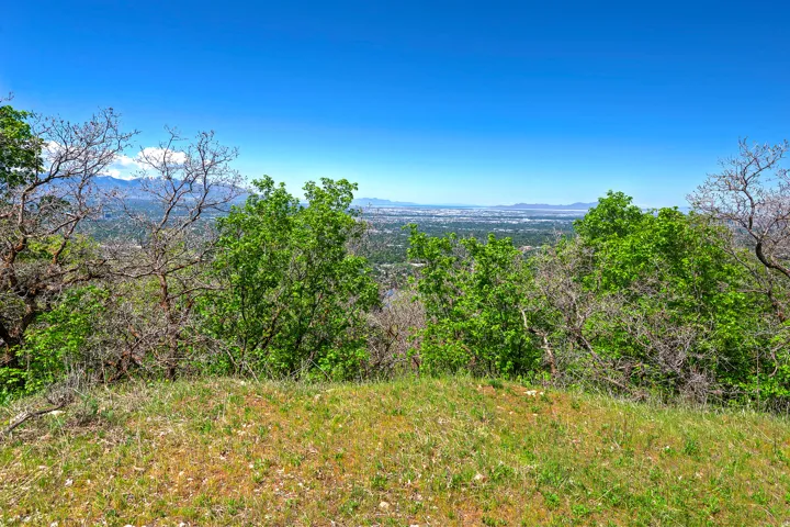 Expansive landscape featuring distant city and mountain scenery