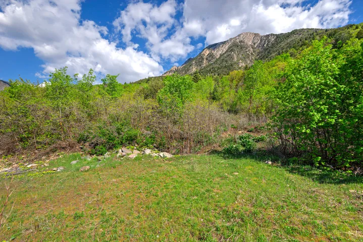 Expansive green space with natural landscaping and mature trees, set against a mountainous backdrop