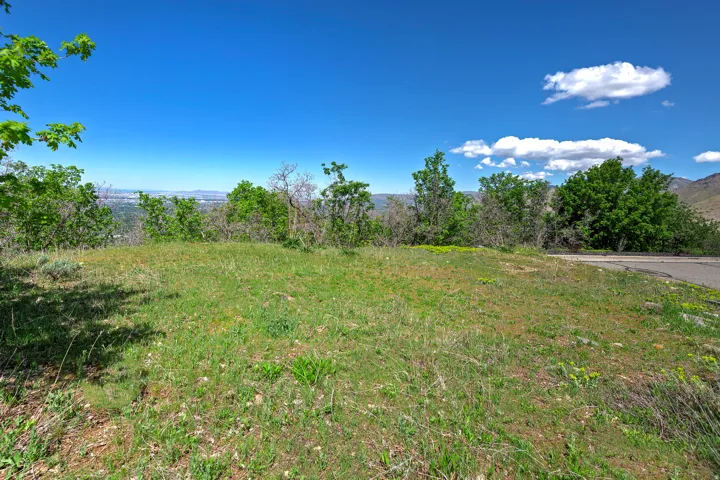 Expansive lot featuring a vibrant green landscape, mature trees, and a distant cityscape