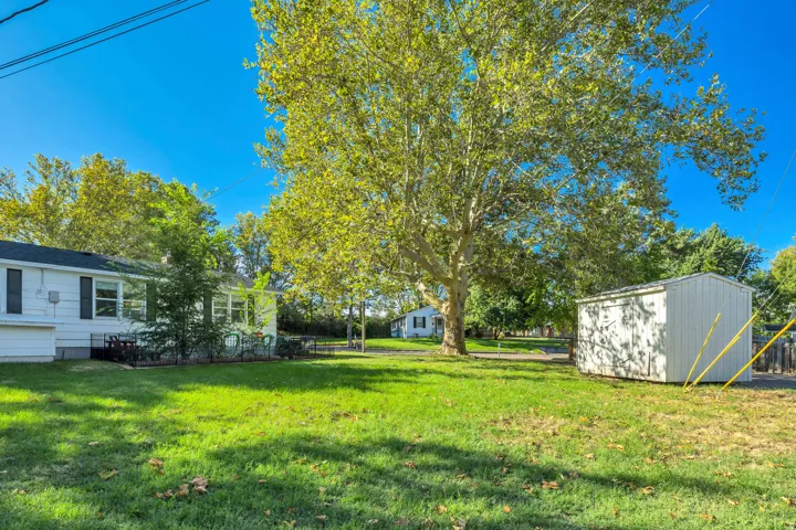 Expansive backyard featuring a large mature tree, green lawn, and a storage shed