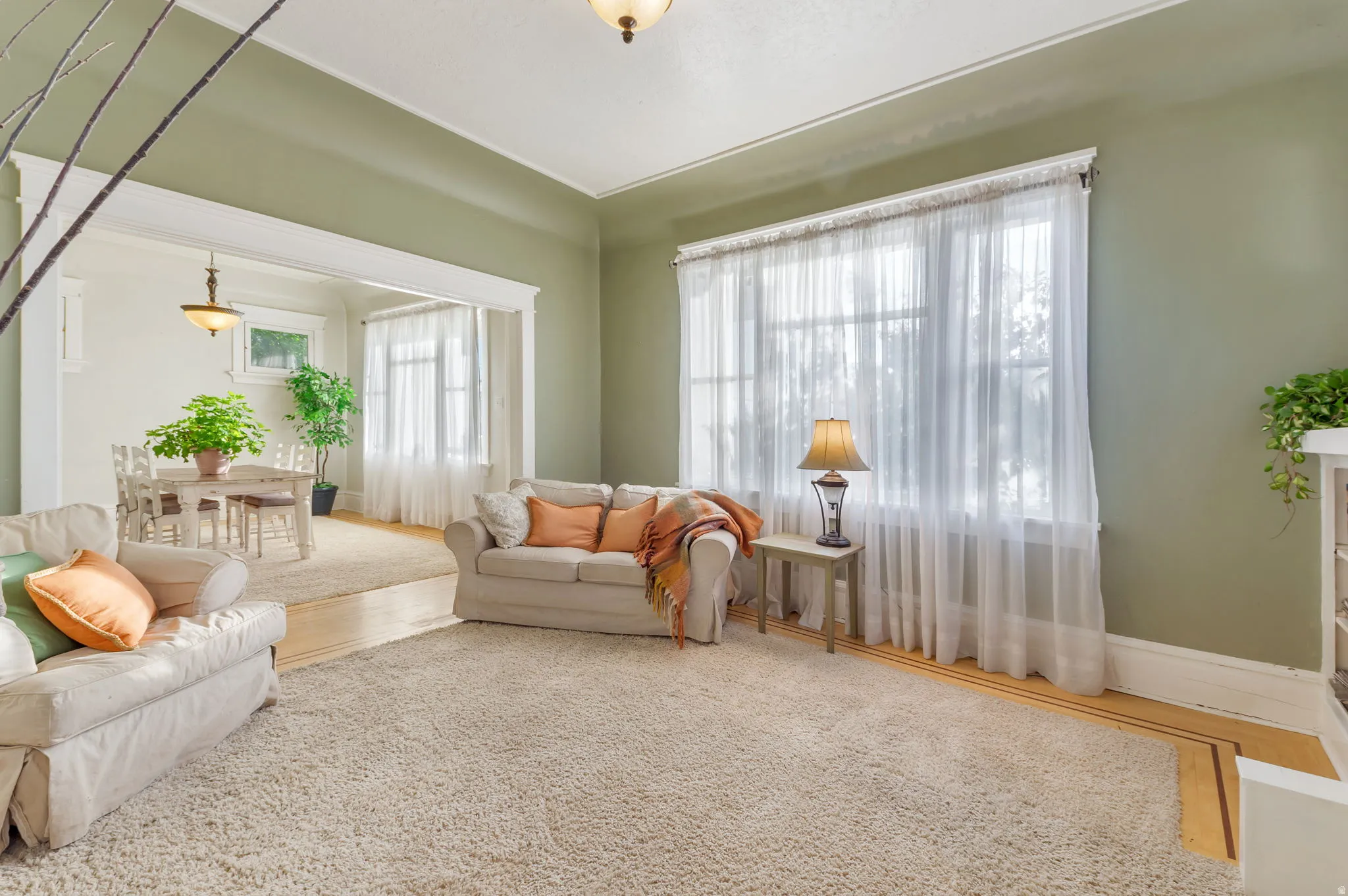 Carpeted living area with light green walls and white trim