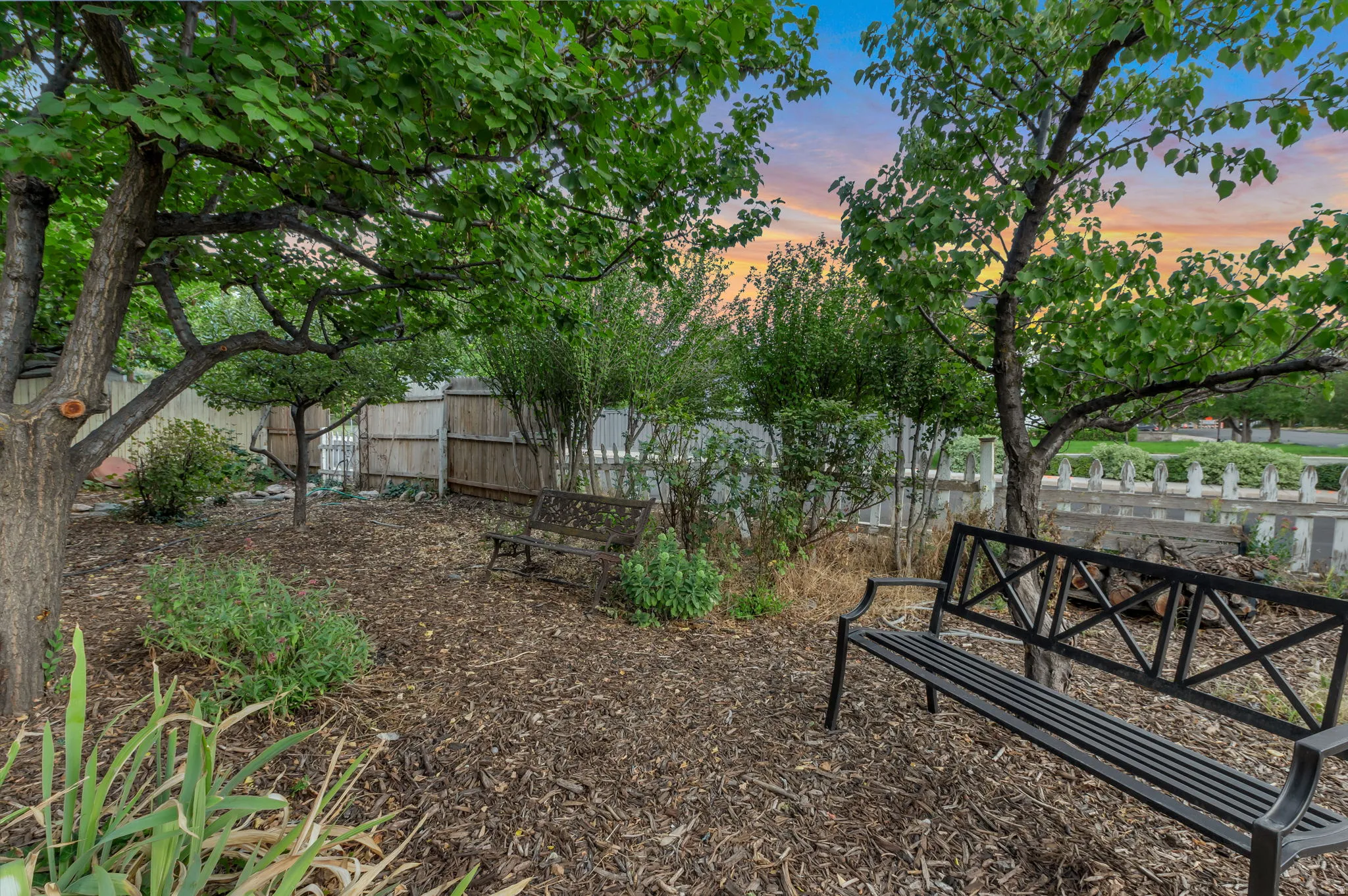 Established trees providing natural shade, wood chip ground cover, and partial privacy fencing
