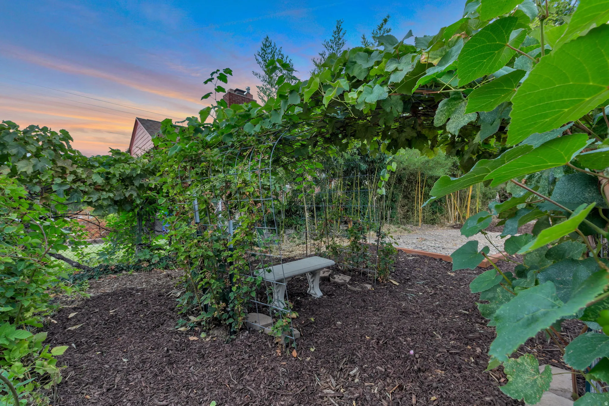 Landscaped exterior featuring a vine-covered arbor, mature plantings, and a decorative garden bench