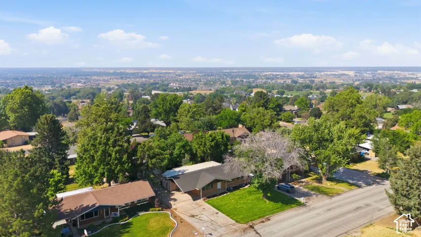 Expansive neighborhood with a verdant landscape and established trees