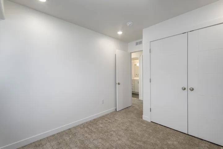 Recessed lighting, light-toned carpeting, white walls, and a double-door closet with spherical hardware