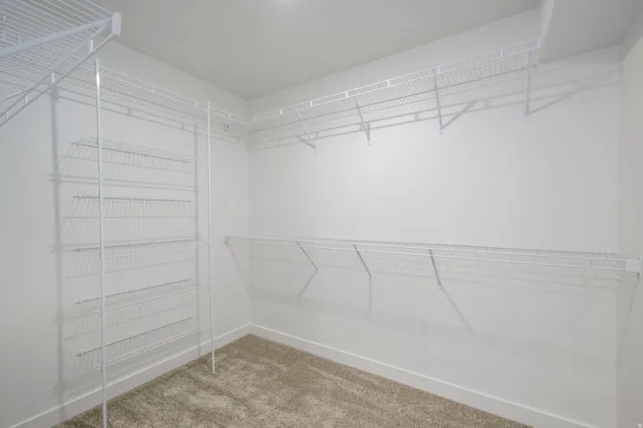 Spacious walk-in closet featuring wire shelving, multiple hanging rods, and neutral-toned carpeting