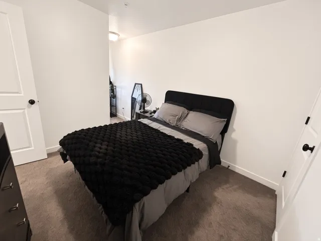White paneled doors with black hardware, plush carpet flooring, and a flush-mount ceiling light fixture