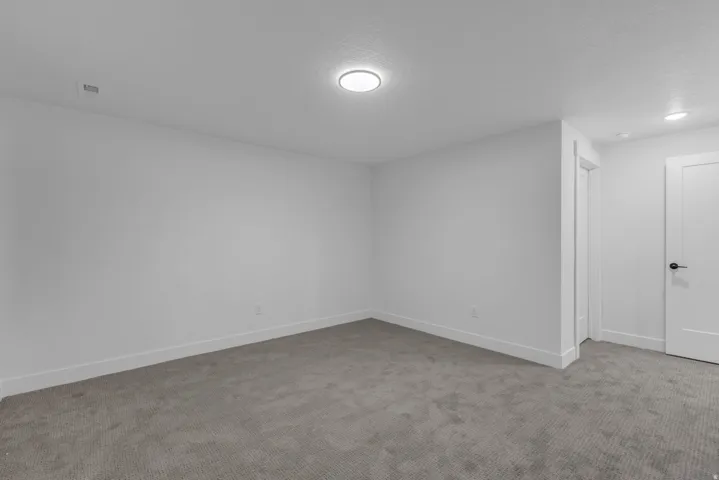Neutral wall paint with carpet flooring, a ceiling-mounted light fixture, and white interior doors