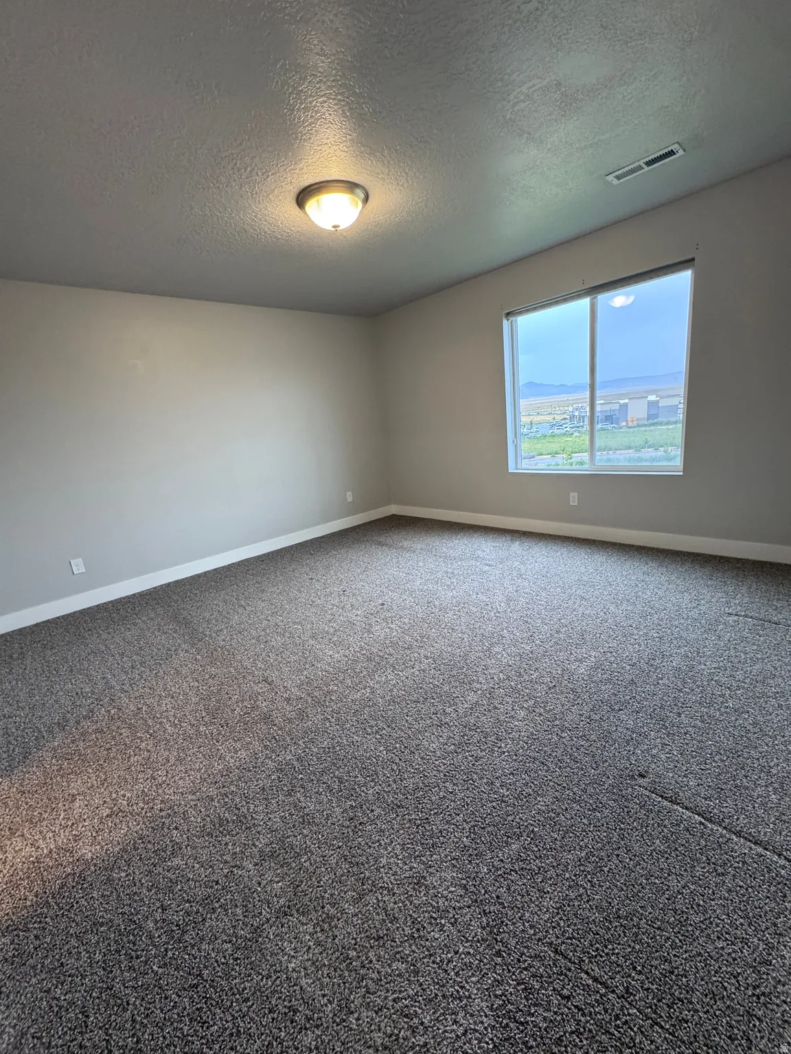 Carpeted interior space featuring a large window, neutral wall paint, and a ceiling-mounted light fixture