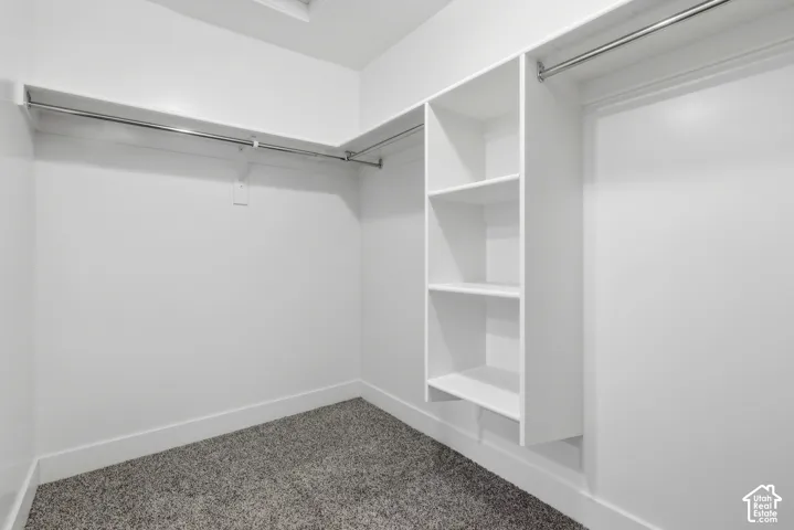 Built-in shelving unit, multiple hanging rods, and dark gray carpeting