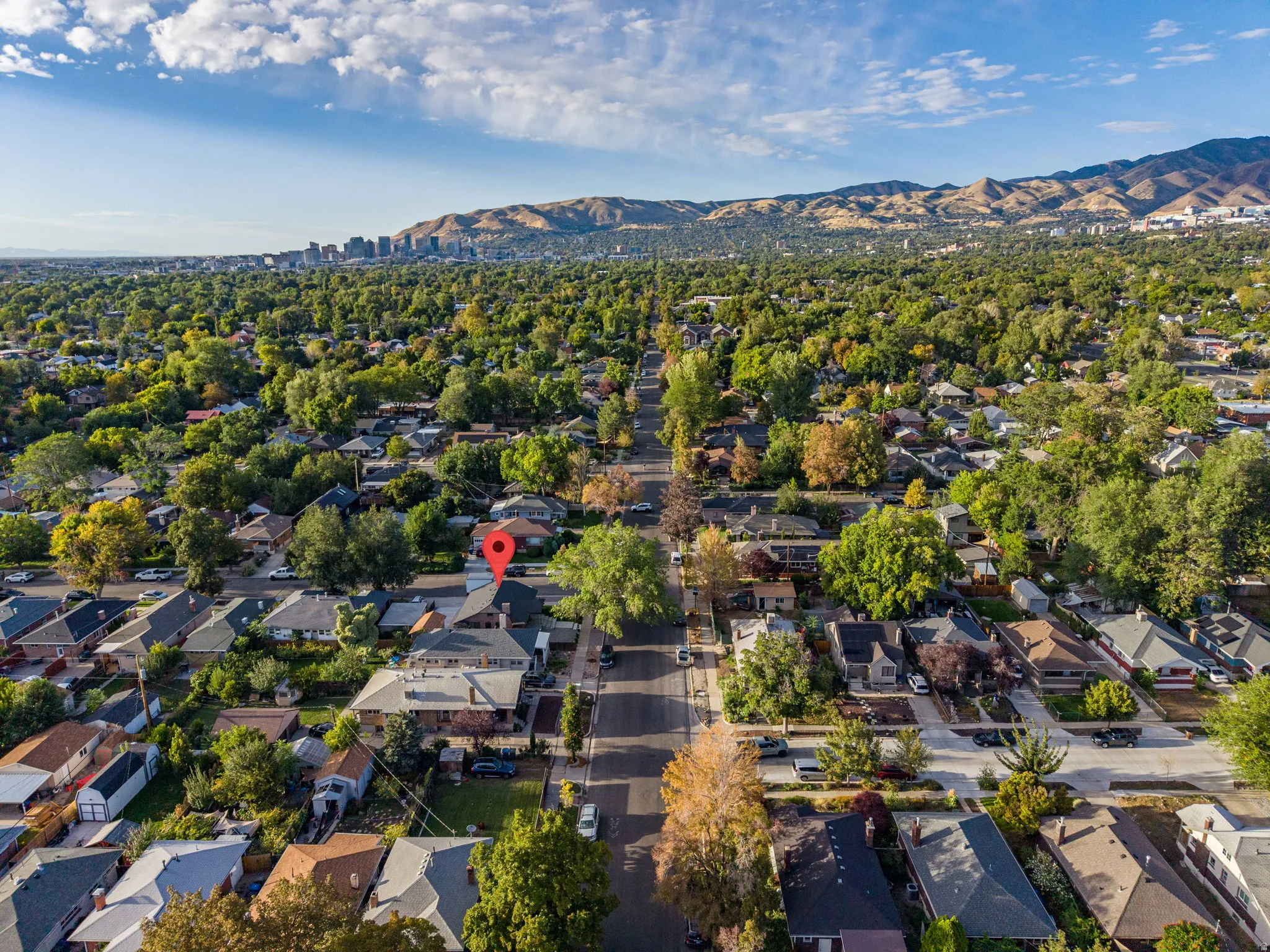 Residential neighborhood with mature trees