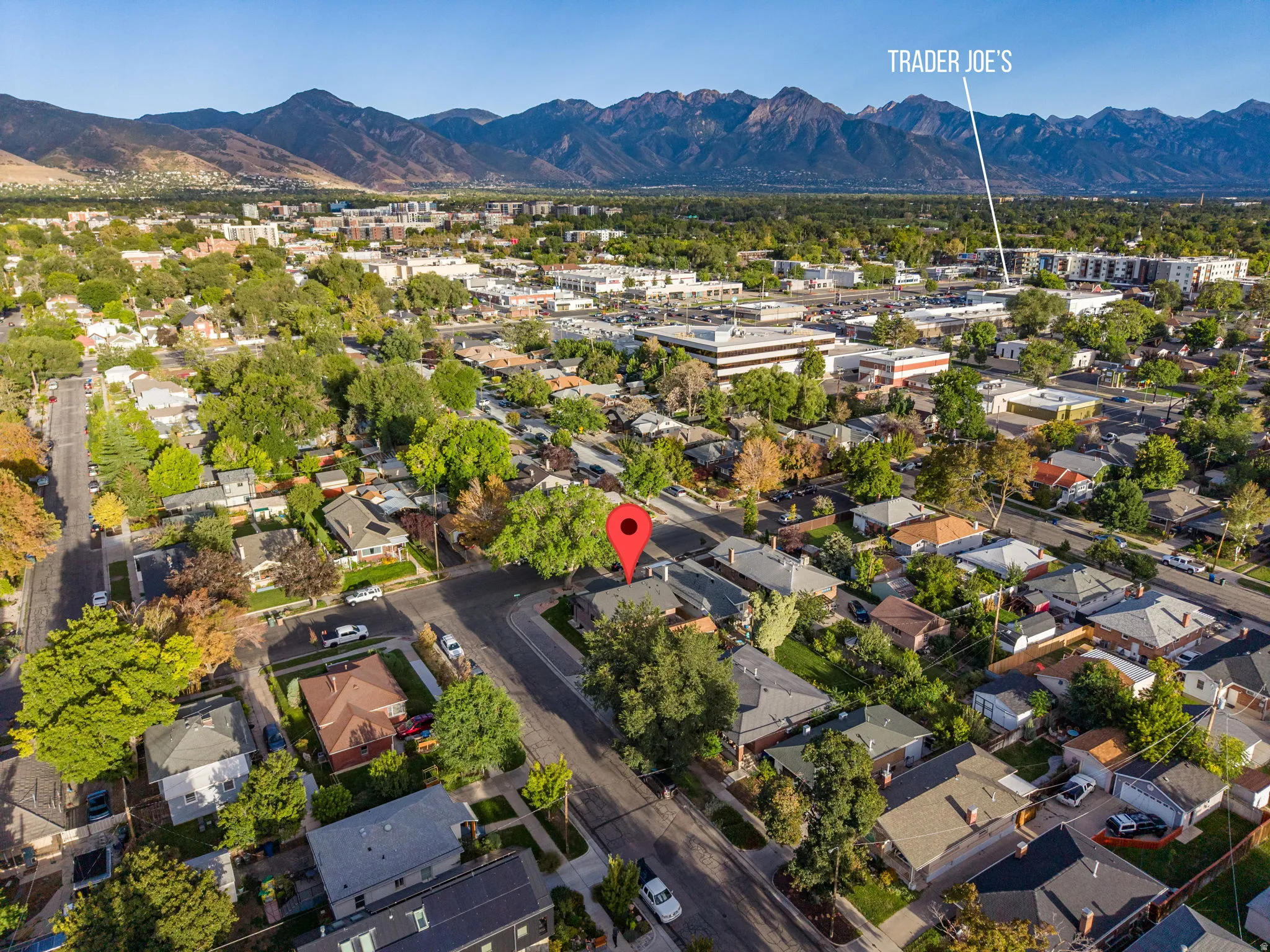 Residential area with mature trees and mountain scenery