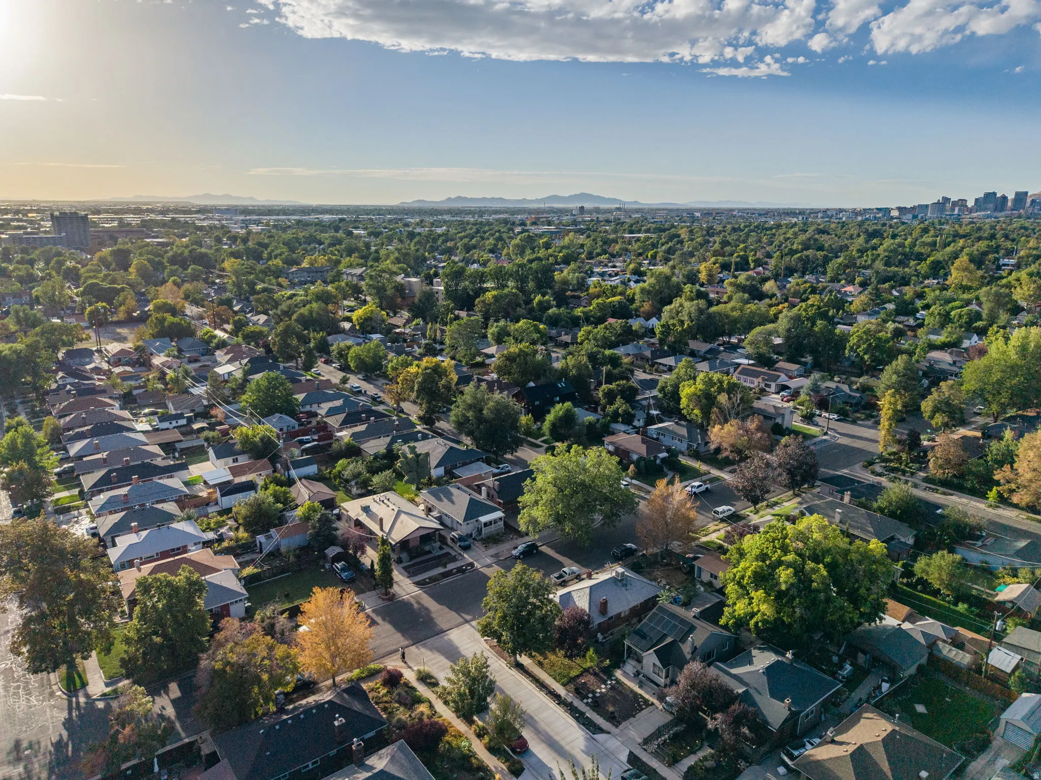 Residential neighborhood with mature tree canopy and distant urban skyline