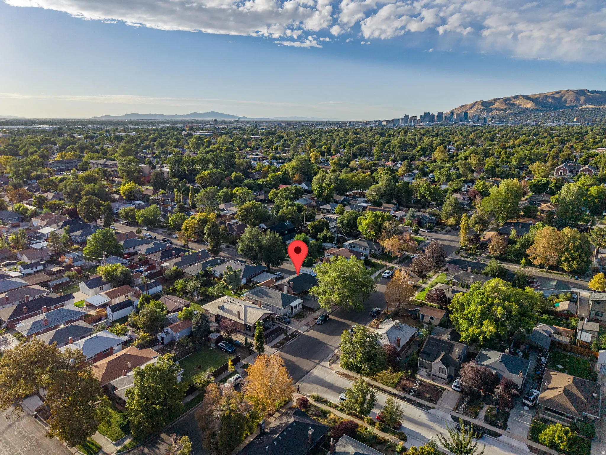 Expansive neighborhood featuring mature trees and established residential properties
