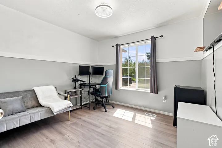Wood-finish flooring, overhead ceiling light fixture, and a large window with white muntins