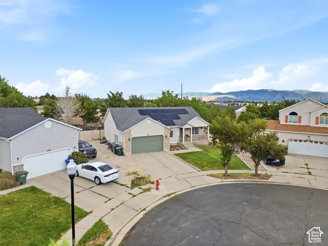 Charming single-story residence featuring a green garage door, concrete driveway with circular turnaround, and mature landscaping including established trees