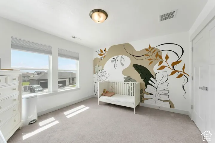 Dual windows with window treatments, wall mural, neutral carpeting, and a flush-mount ceiling light fixture