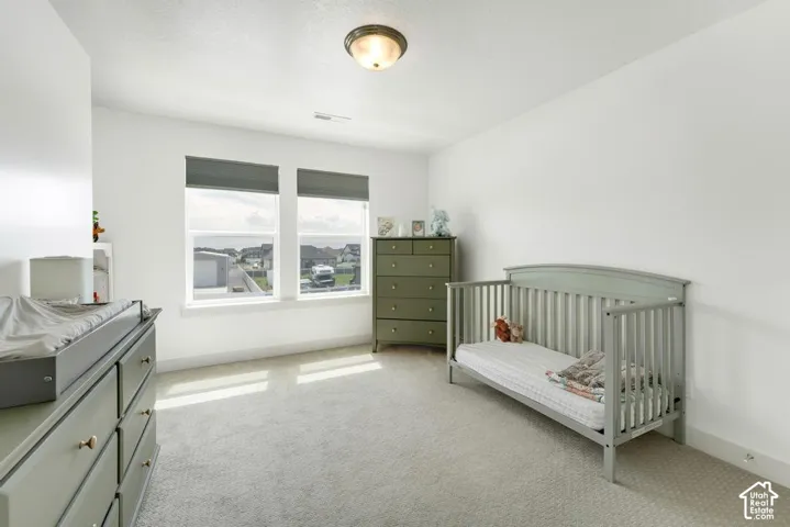 Two windows with roller shades, neutral wall color, textured carpet flooring, and a flush mount ceiling light