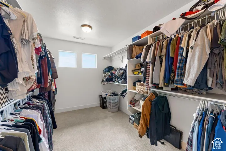 Spacious walk-in closet featuring extensive built-in shelving, multiple hanging rods, and carpeted flooring