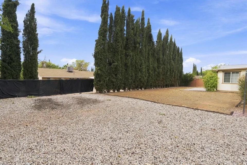 Expansive backyard featuring a gravel area, a prepared soil area, and a row of tall evergreen trees
