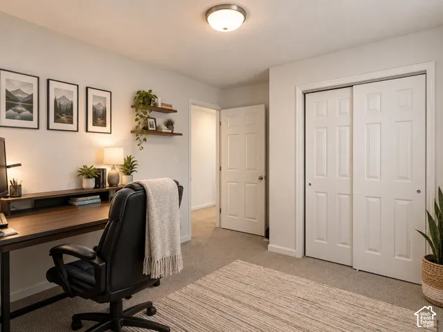 Neutral interior featuring carpeted flooring, a six-panel swing door, and sliding closet doors with six-panel detailing