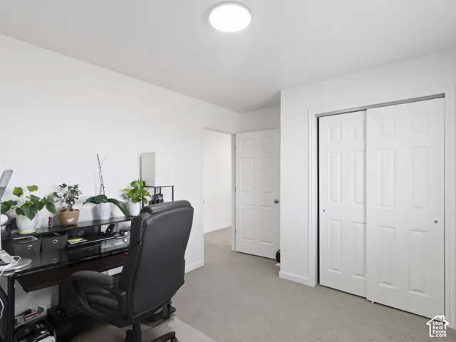 Light-toned carpeting, white walls, and a flush-mount ceiling light