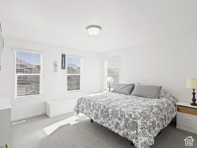 Carpeted flooring, two windows with blinds, and an overhead light fixture