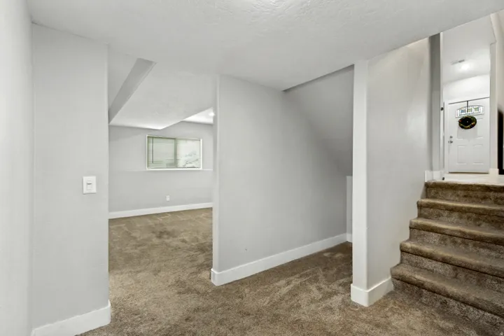 Carpeted staircase with white risers, leading to a white entry door with a decorative glass insert