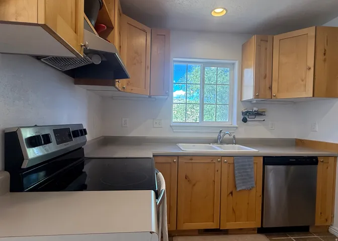 Kitchen featuring wood cabinetry, stainless steel dishwasher, dual basin sink, and an electric range