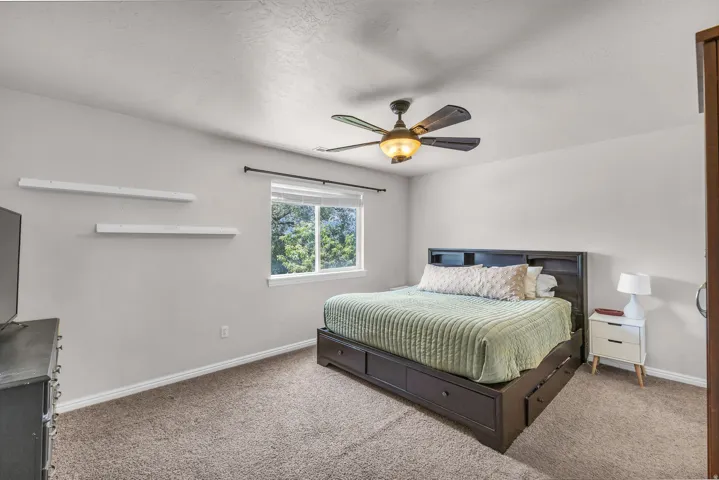 Window with exterior foliage, ceiling fan with integrated lighting, and carpeted flooring