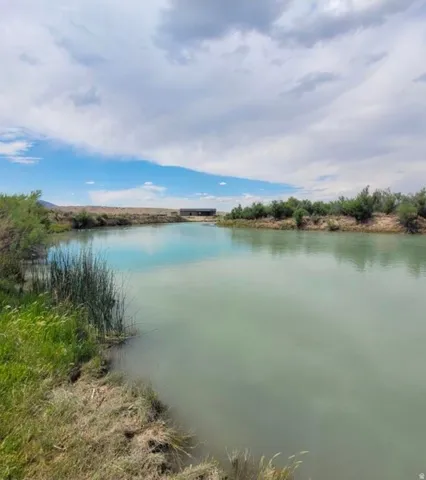 Expansive body of water with natural vegetation along the banks