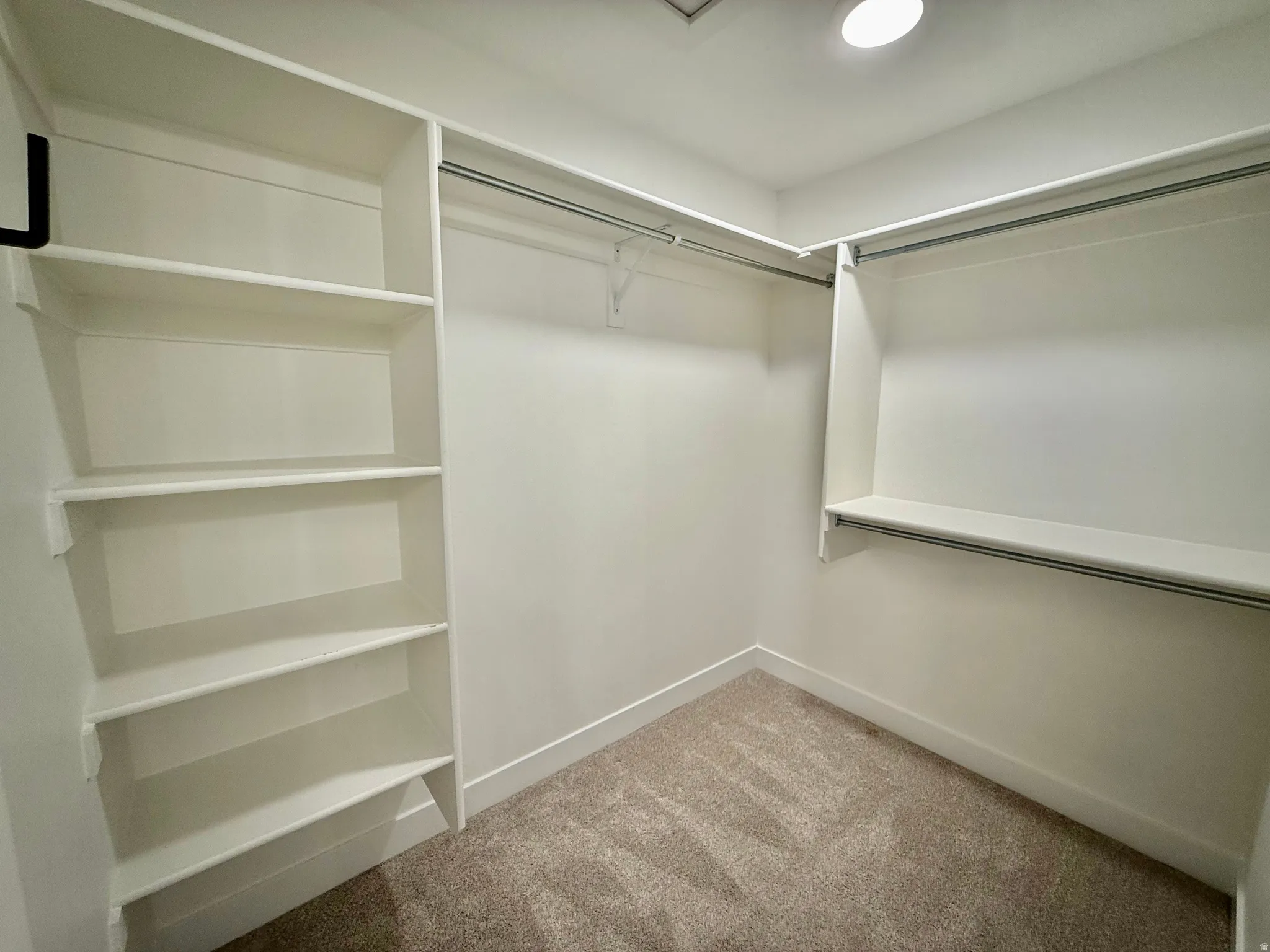 Primary Walk-in closet featuring built-in shelving, hanging rods, recessed lighting, and carpet flooring