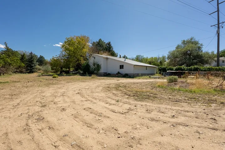 Spacious land parcel with open ground and mature trees