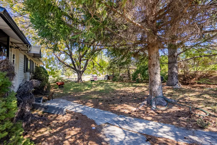 Mature trees providing shade, concrete pathway, and established landscaping