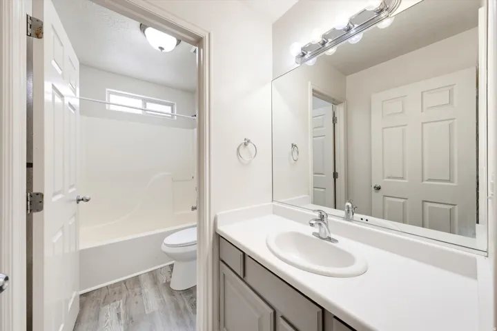 Bathroom vanity with integrated sink, expansive mirror, overhead lighting fixture, and wood-finish flooring