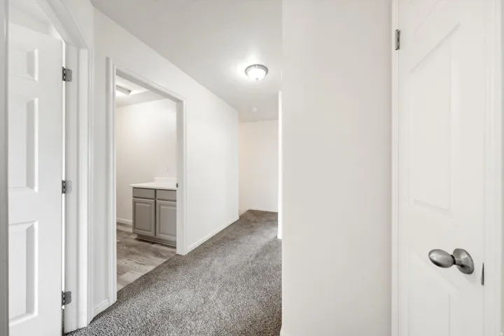 Hallway featuring plush carpeting, white paneled doors, and a ceiling-mounted light fixture