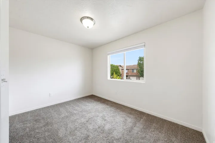 Neutral wall paint, gray carpet flooring, and a single window with a roller shade