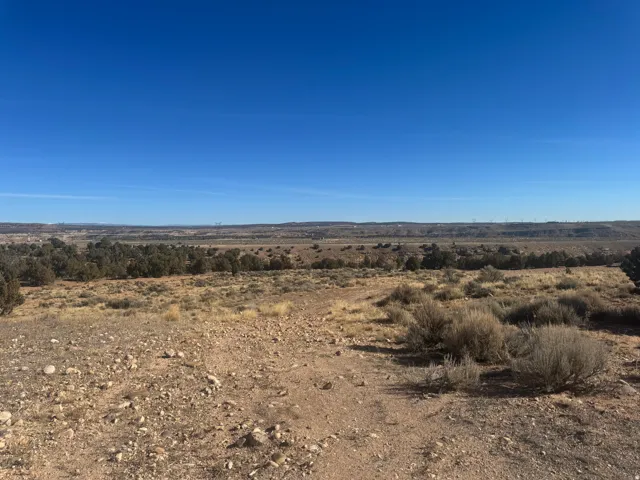 Expansive desert landscape with scattered low-lying scrub brush