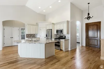 Kitchen featuring a large island with an undermount sink, stainless steel appliances, light-toned cabinetry, and wood-finish flooring