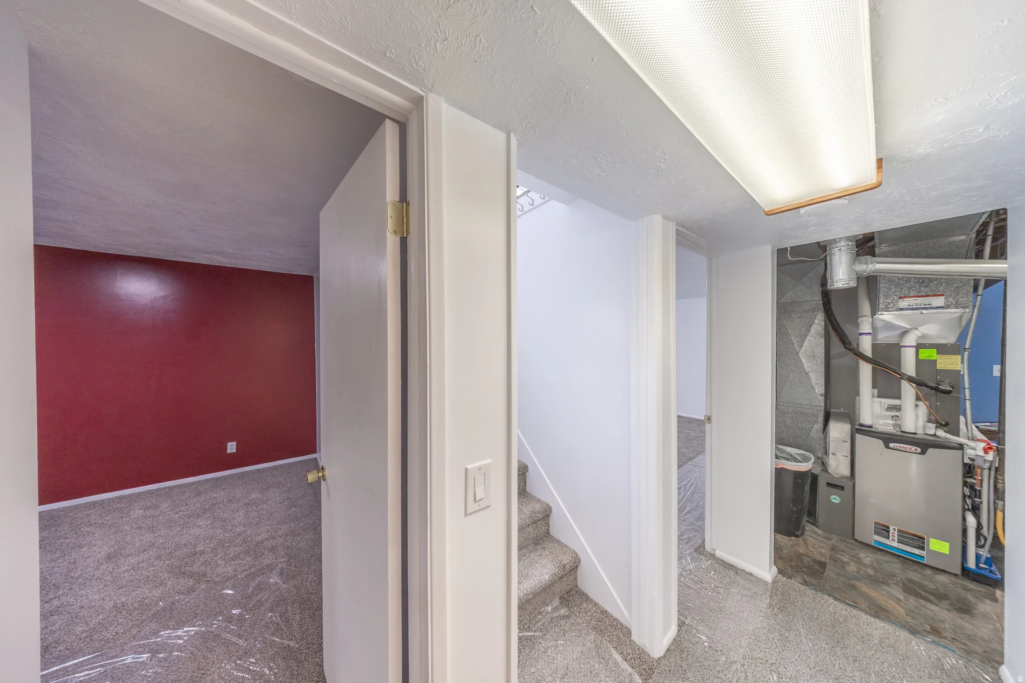 Carpeted room with a bold accent wall
