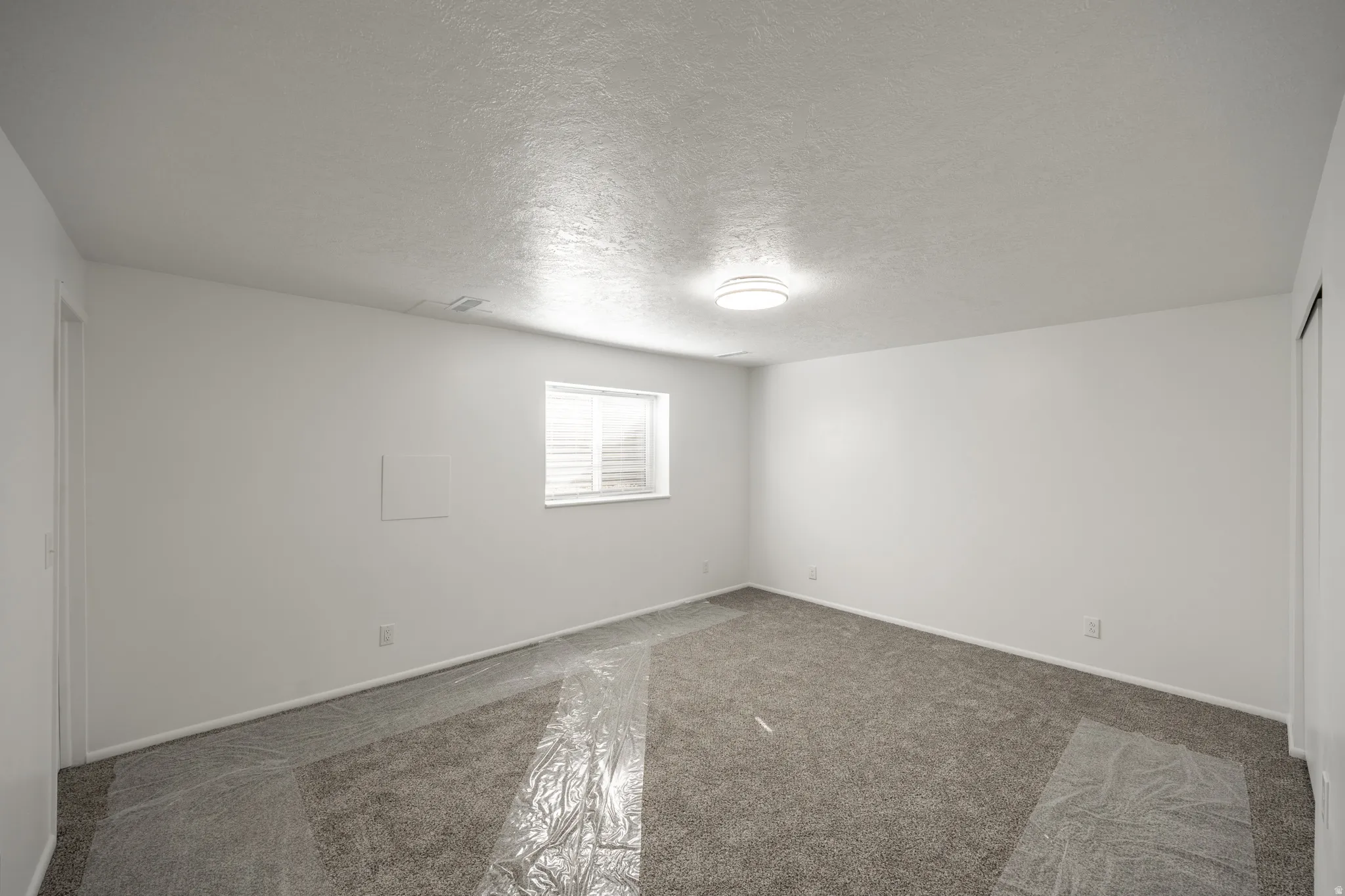 Neutral paint palette and textured carpeting