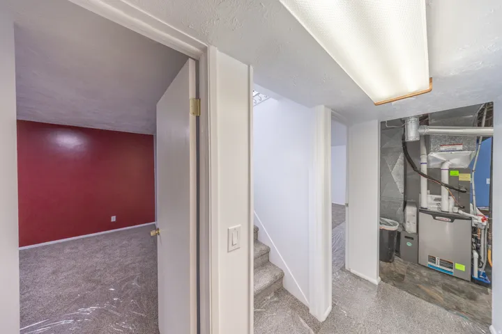 Carpeted room with a bold accent wall