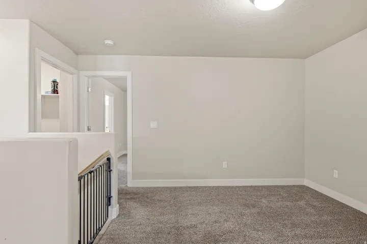 Neutral paint scheme, plush carpet flooring, white trim, recessed closet, and contemporary ceiling light fixture