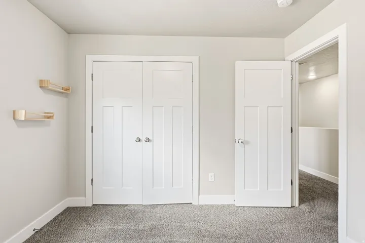 Plush carpeting, white trim, and white paneled doors